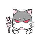 White cat's daily（個別スタンプ：2）