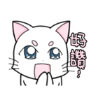 White cat's daily（個別スタンプ：5）