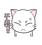 White cat's daily（個別スタンプ：6）