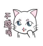 White cat's daily（個別スタンプ：7）