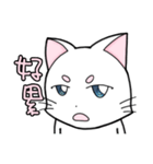White cat's daily（個別スタンプ：8）
