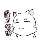 White cat's daily（個別スタンプ：9）