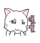 White cat's daily（個別スタンプ：11）