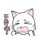 White cat's daily（個別スタンプ：12）