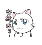 White cat's daily（個別スタンプ：13）