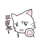 White cat's daily（個別スタンプ：15）