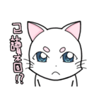White cat's daily（個別スタンプ：16）