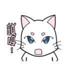 White cat's daily（個別スタンプ：18）