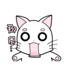 White cat's daily（個別スタンプ：19）