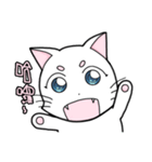 White cat's daily（個別スタンプ：21）
