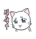 White cat's daily（個別スタンプ：23）