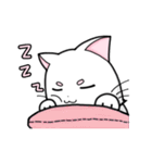 White cat's daily（個別スタンプ：28）