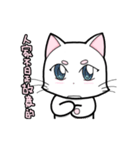 White cat's daily（個別スタンプ：33）