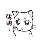 White cat's daily（個別スタンプ：34）