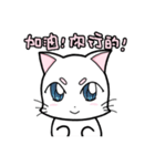 White cat's daily（個別スタンプ：39）