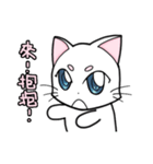 White cat's daily（個別スタンプ：40）