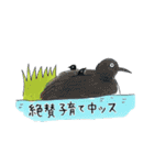 コタローのクライマーズスタンプ（個別スタンプ：30）