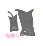 自由な黒猫～家族ができました（個別スタンプ：16）
