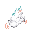 Pong and Fong Rabbit（個別スタンプ：1）