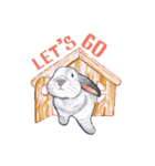 Pong and Fong Rabbit（個別スタンプ：2）