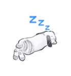 Pong and Fong Rabbit（個別スタンプ：5）
