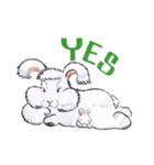 Pong and Fong Rabbit（個別スタンプ：11）