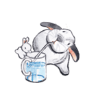 Pong and Fong Rabbit（個別スタンプ：19）