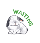Pong and Fong Rabbit（個別スタンプ：23）