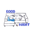 Pong and Fong Rabbit（個別スタンプ：31）