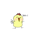 ことりのこっちゃん（個別スタンプ：3）