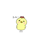 ことりのこっちゃん（個別スタンプ：11）