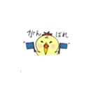 ことりのこっちゃん（個別スタンプ：20）