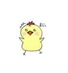 ことりのこっちゃん（個別スタンプ：21）
