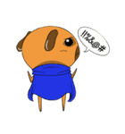 Baby and The Pug (Reboot)（個別スタンプ：17）