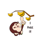 Monkey Matt ＆ Seal Ted（個別スタンプ：10）