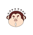 Monkey Matt ＆ Seal Ted（個別スタンプ：20）
