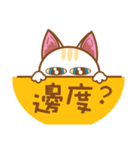 ミニモ猫 ：広東語スラング（個別スタンプ：11）