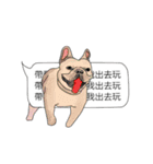 BULLDOG on the Balloon（個別スタンプ：7）