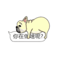 BULLDOG on the Balloon（個別スタンプ：8）