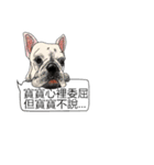 BULLDOG on the Balloon（個別スタンプ：21）