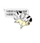 BULLDOG on the Balloon（個別スタンプ：24）