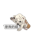 BULLDOG on the Balloon（個別スタンプ：27）