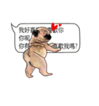 BULLDOG on the Balloon（個別スタンプ：38）