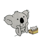 はなたれコアラ（個別スタンプ：8）