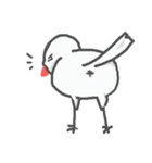 Go！Java sparrow（個別スタンプ：38）