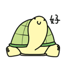 Big-headed turtle（個別スタンプ：5）