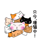 かばん猫 【日常語】（個別スタンプ：40）