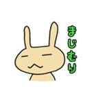 うさぴょんぴょん（個別スタンプ：36）