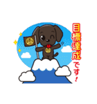 ラドルチェ公式スタンプ（個別スタンプ：20）