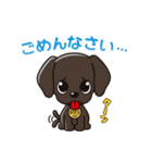 ラドルチェ公式スタンプ（個別スタンプ：30）